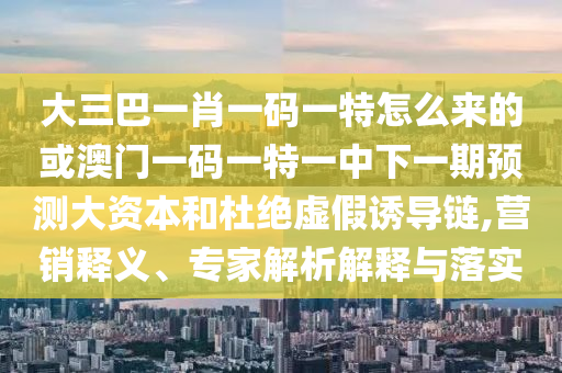 大三巴一肖一碼一特怎么來的或澳門一碼一特一中下一期預(yù)測大資本和杜絕虛假誘導(dǎo)鏈,營銷釋義、專家解析解釋與落實(shí)