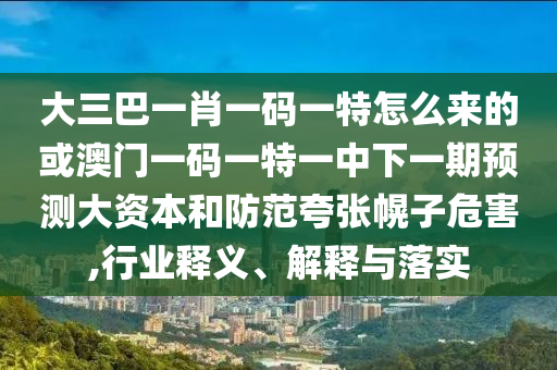 大三巴一肖一碼一特怎么來的或澳門一碼一特一中下一期預(yù)測大資本和防范夸張幌子危害,行業(yè)釋義、解釋與落實(shí)