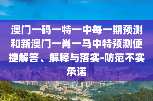 澳門一碼一特一中每一期預(yù)測和新澳門一肖一馬中特預(yù)測便捷解答、解釋與落實-防范不實承諾