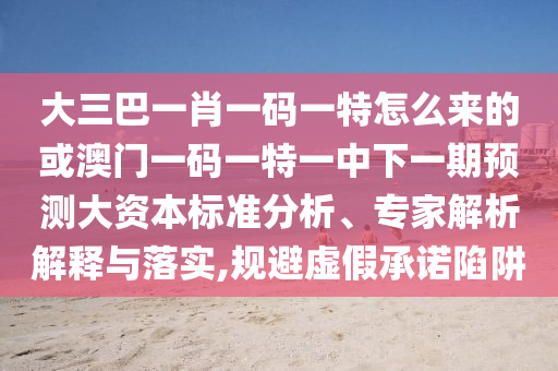 大三巴一肖一碼一特怎么來(lái)的或澳門(mén)一碼一特一中下一期預(yù)測(cè)大資本標(biāo)準(zhǔn)分析、專家解析解釋與落實(shí),規(guī)避虛假承諾陷阱