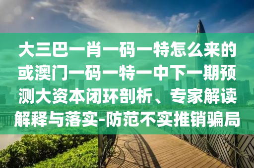 大三巴一肖一碼一特怎么來的或澳門一碼一特一中下一期預(yù)測大資本閉環(huán)剖析、專家解讀解釋與落實(shí)-防范不實(shí)推銷騙局
