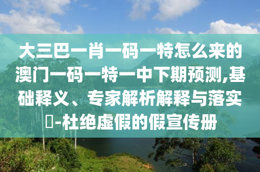 大三巴一肖一碼一特怎么來的澳門一碼一特一中下期預(yù)測,基礎(chǔ)釋義、專家解析解釋與落實?-杜絕虛假的假宣傳冊