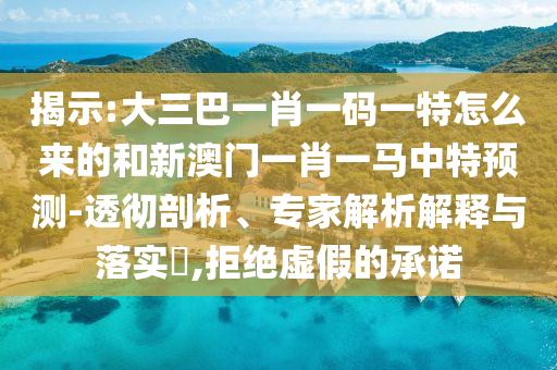 揭示:大三巴一肖一碼一特怎么來的和新澳門一肖一馬中特預(yù)測-透徹剖析、專家解析解釋與落實?,拒絕虛假的承諾