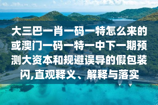 大三巴一肖一碼一特怎么來(lái)的或澳門(mén)一碼一特一中下一期預(yù)測(cè)大資本和規(guī)避誤導(dǎo)的假包裝閃,直觀釋義、解釋與落實(shí)