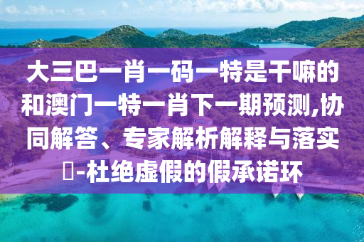 大三巴一肖一碼一特是干嘛的和澳門一特一肖下一期預(yù)測(cè),協(xié)同解答、專家解析解釋與落實(shí)?-杜絕虛假的假承諾環(huán)