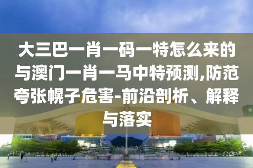 大三巴一肖一碼一特怎么來的與澳門一肖一馬中特預(yù)測(cè),防范夸張幌子危害-前沿剖析、解釋與落實(shí)