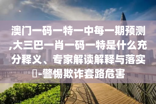 澳門一碼一特一中每一期預(yù)測,大三巴一肖一碼一特是什么充分釋義、專家解讀解釋與落實?-警惕欺詐套路危害