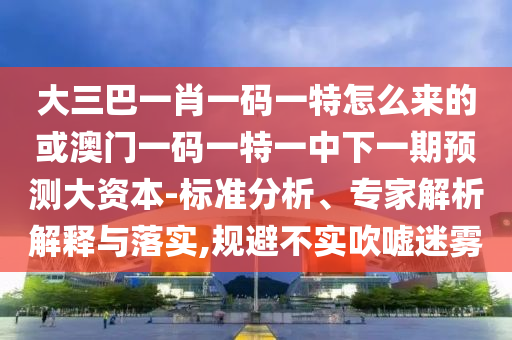 大三巴一肖一碼一特怎么來(lái)的或澳門一碼一特一中下一期預(yù)測(cè)大資本-標(biāo)準(zhǔn)分析、專家解析解釋與落實(shí),規(guī)避不實(shí)吹噓迷霧