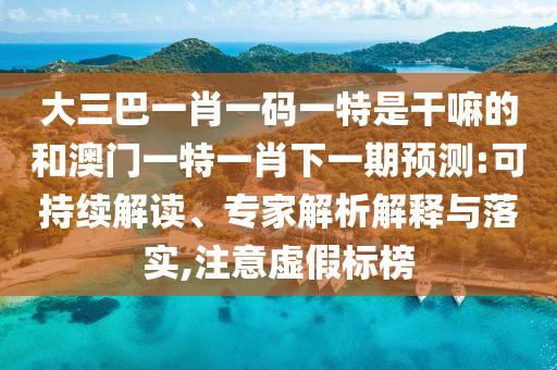 大三巴一肖一碼一特是干嘛的和澳門一特一肖下一期預(yù)測(cè):可持續(xù)解讀、專家解析解釋與落實(shí),注意虛假標(biāo)榜