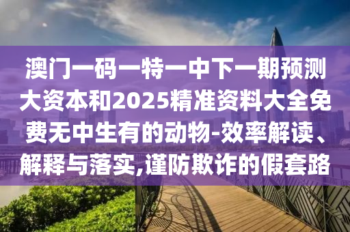 澳門一碼一特一中下一期預(yù)測(cè)大資本和2025精準(zhǔn)資料大全免費(fèi)無中生有的動(dòng)物-效率解讀、解釋與落實(shí),謹(jǐn)防欺詐的假套路